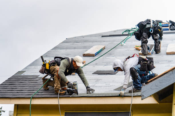 Professional Storm Damage Roof Repair technician working in Garnett, KS